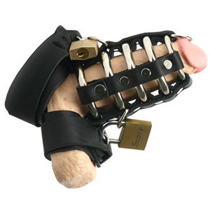 Cock and Ball Devices
